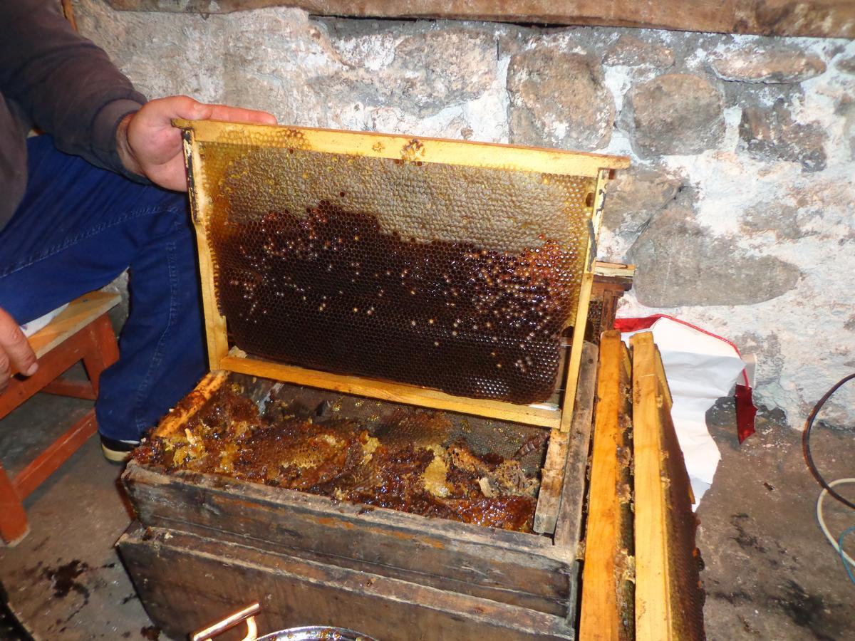 Anush'S B&B Tatev Zewnętrze zdjęcie